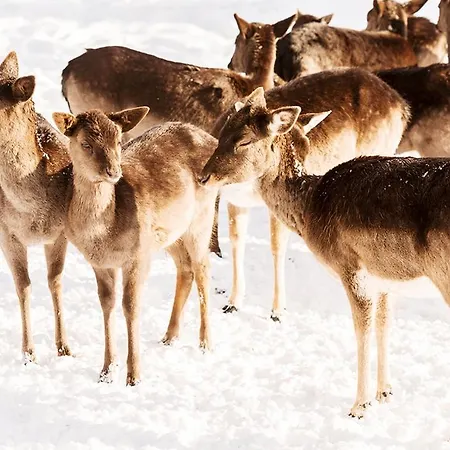 Hotel Graeflicher Park Health & Balance