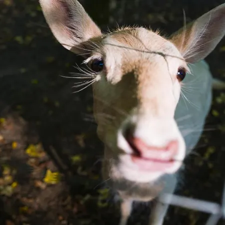 Graeflicher Park Health & Balance Hotel