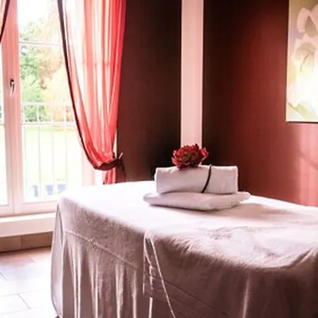 Graeflicher Park Health & Balance 4* バート・ドリーブルク