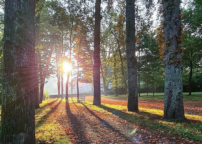 Gräflicher Park Health&balance Bad Driburg
