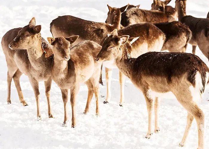 Hotel Graeflicher Park Health & Balance